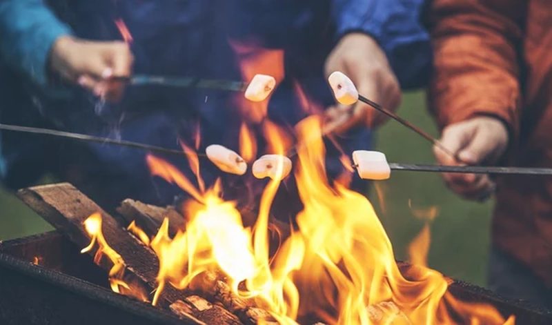 How to Choose the Best Wood Burning Fire Pit?